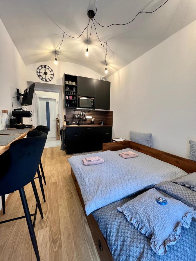 Studio V Prizemi S Kuchyni A Koupelnou Prague Extérieur photo